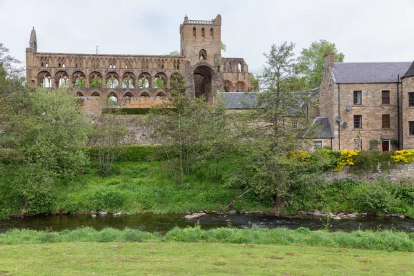Bekijken van de ruïnes van Jedburgh abbey in Scottish borders. — Stockfoto