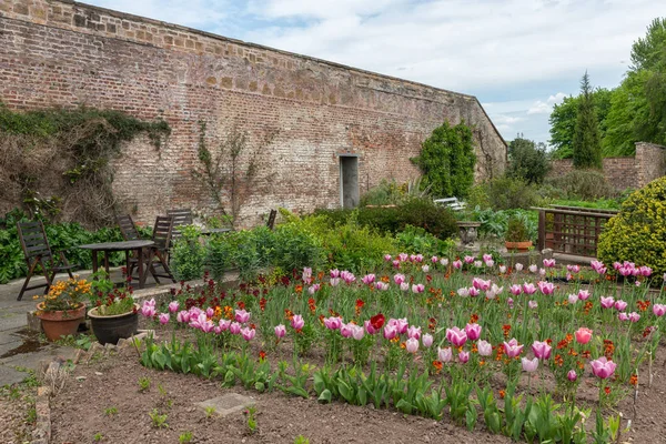 Patio inglés con pared de piedra, muebles y flores de tulipán — Foto de Stock