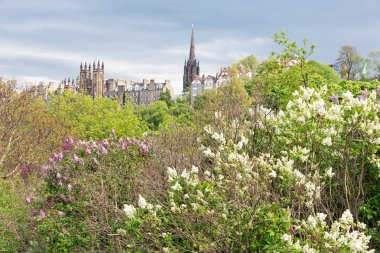 Cityscape İskoç Princes Street Gardens görülen Edinburgh