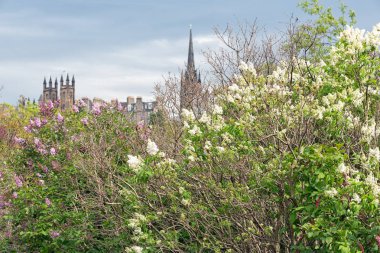 Cityscape İskoç Princes Street Gardens görülen Edinburgh