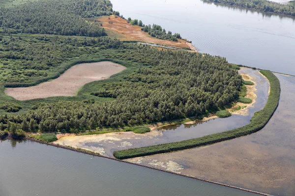 Umweltentwicklung neue Natur mit Kanebrechen im holländischen Fluss Ijssel — Stockfoto