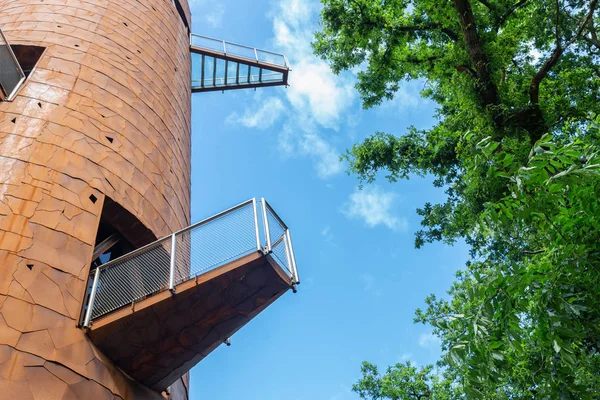 Watch tower-az erdő Appelscha, Hollandia — Stock Fotó