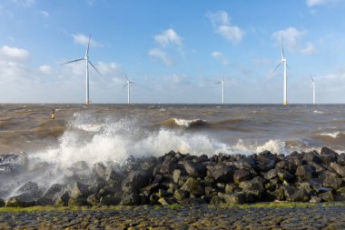 Off shore rüzgar türbinleri ve kırılma dalgalar ile Hollanda deniz