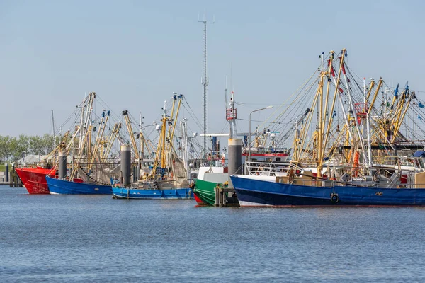 Bateaux de pêche à la crevette dans le port néerlandais Lauwersoog — Photo