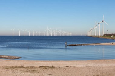 Plaj Urk off shore rüzgar türbini çiftliğinde görünümü