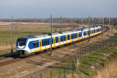 Almere ve Lelystad yakınlarındaki National Park Oostvaardersplassen ile Hollanda demiryolu