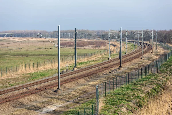 Holandská železnice přes národní park Oostvaardersplassen nedaleko Alpouhých a Lelystadu — Stock fotografie