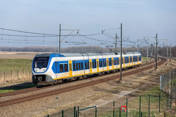 Dutch railway through National Park Oostvaardersplassen near Almere and Lelystad — Stock Photo, Image