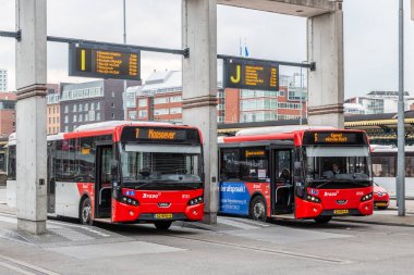 Den Bosch merkez tren istasyonundaotobüsler, Hollanda