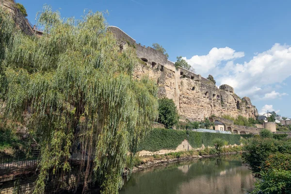 Salgueiro chorão ao longo do rio Alzette no centro da cidade de Luxemburgo Grund — Fotografia de Stock