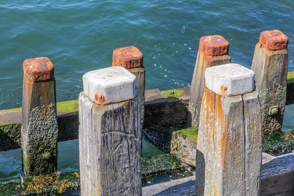 Drewniany molo w pobliżu portu Vlissingen, Holandia — Zdjęcie stockowe