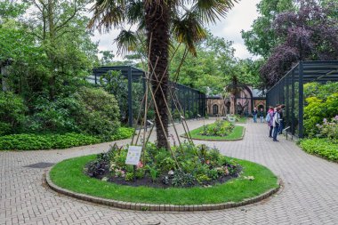 Artis Zoo Amsterdam ziyaretçileri kuş barınamı arıyor