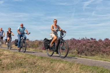İnsanlar Hollanda Veluwe de çiçekli mor fundalık ile bisiklet