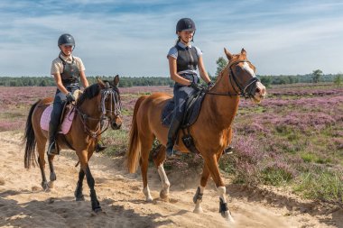Hollanda Milli Parkı Veluwe'de fundalıkta ata binen kızlar