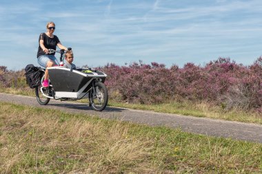 Heath Dutch Veluwe'de taşıyıcı döngüde erkek çocuklu kadın