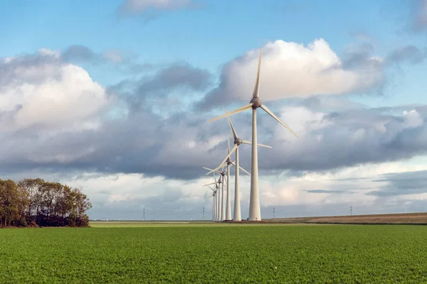 Огромные ветряные турбины в голландском сельском хозяйстве — стоковое фото