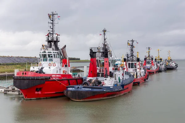 Remorqueurs amarrés dans le port néerlandais Terneuzen près de la rivière Schelde — Photo