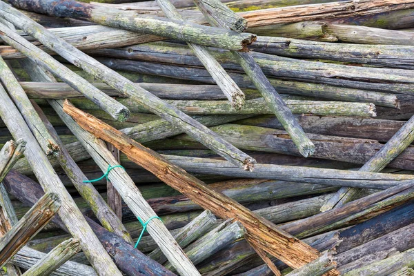 Background of old wooden stakes with green deposits — Stock Photo, Image
