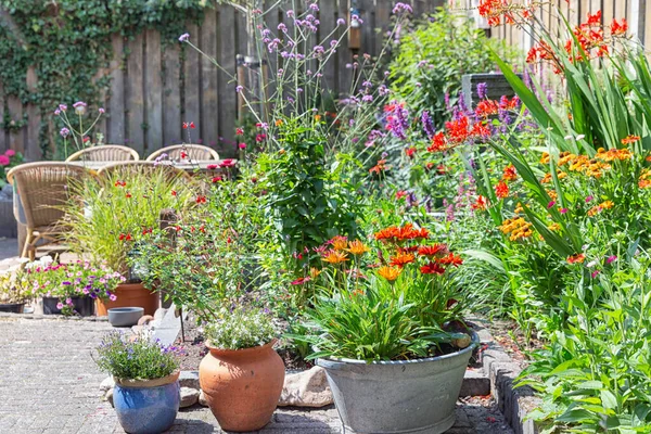 Jardín ornamental con plantas coloridas en macizo de flores y mesa de madera —  Fotos de Stock