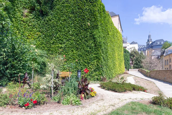 Historic city of Luxembourg, Medieval stronghold wall covered with ivy — Stock Photo, Image