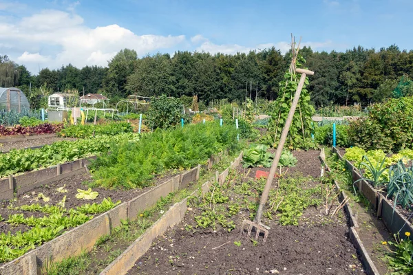 Jardim de loteamento holandês no outono com equipamento de jardim — Fotografia de Stock