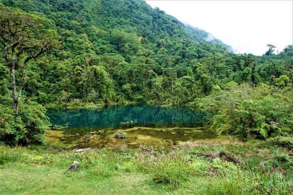 Pozo Verde Bosque Nuboso Parque Nacional Juan Castro Blanco Costa — Foto de Stock