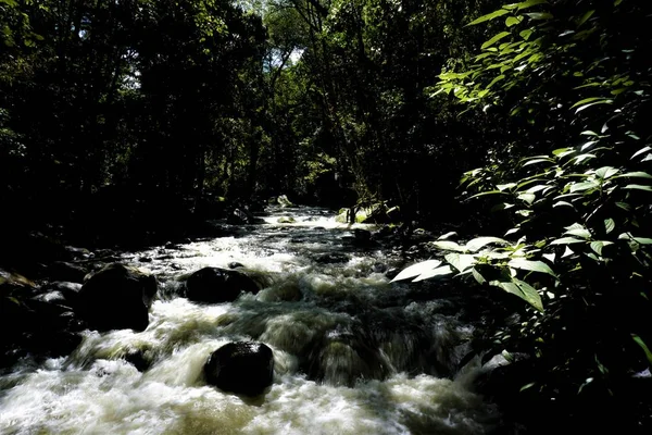 San Gerardo Dota Kosta Rika Daki Savegre Nehri — Stok fotoğraf