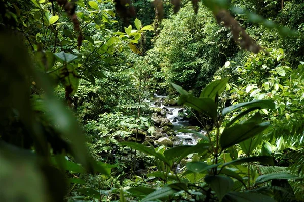 Vista Sobre Rio Braulio Carrillo National Park Costa Rica — Fotografia de Stock