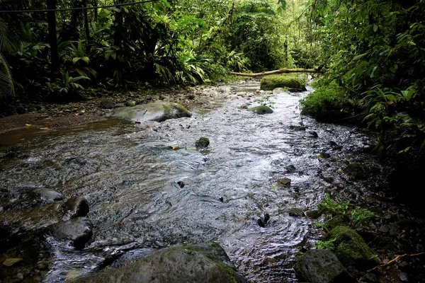 Rio Selvagem Parque Nacional Braulio Carrillo Costa Rica — Fotografia de Stock