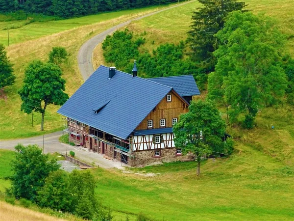 Söt Svart Skogen Hus Spotten Furtwangen Tyskland — Stockfoto