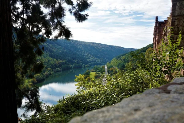 ドイツでネッカー川の渓谷上 Zwingenberg 城からの眺め — ストック写真