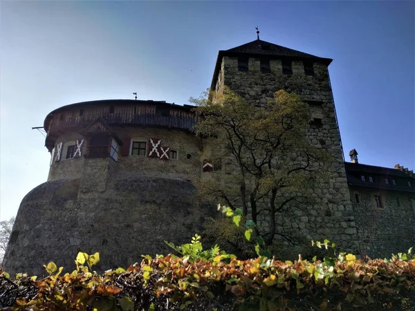 Živý Plot Hrad Městě Vaduz Lichtenštejnsko — Stock fotografie