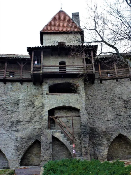 Πύργος Ξύλινη Κουπαστή Δανικό Βασιλιά Κήπος Του Ταλίν Εσθονία — Φωτογραφία Αρχείου