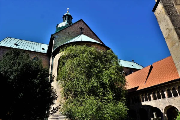 Tisíciletá růže a katedrála ve městě Hildesheim — Stock fotografie