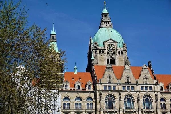 Hanover 'daki yeni belediye binasının üst kısmında ağacın arkasına gizlenmiş bir kule var. — Stok fotoğraf