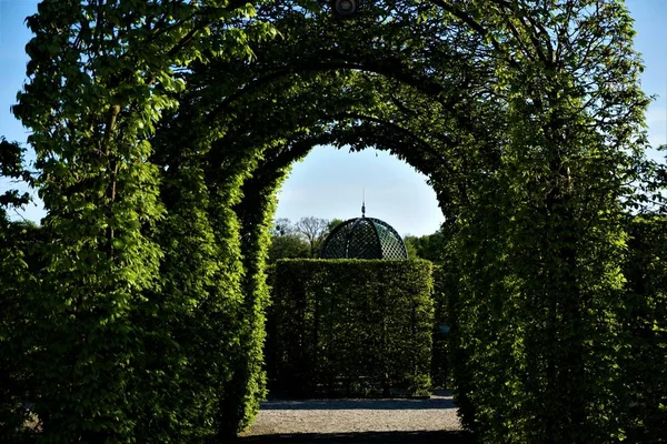 Hanover 'deki Herrenhausen Bahçeleri' ndeki Hornbeam kemeri ve pavyonu.