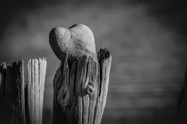 Iisolated Stone Heart Alone — Stock Photo, Image