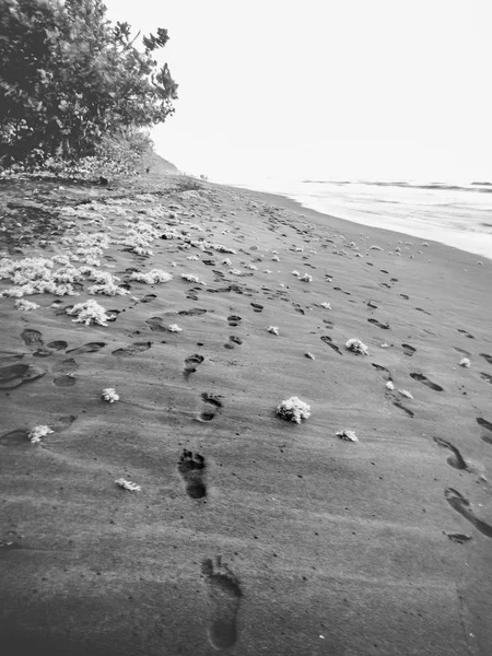 Není Pláži Následovat Jeho Budoucnost — Stock fotografie