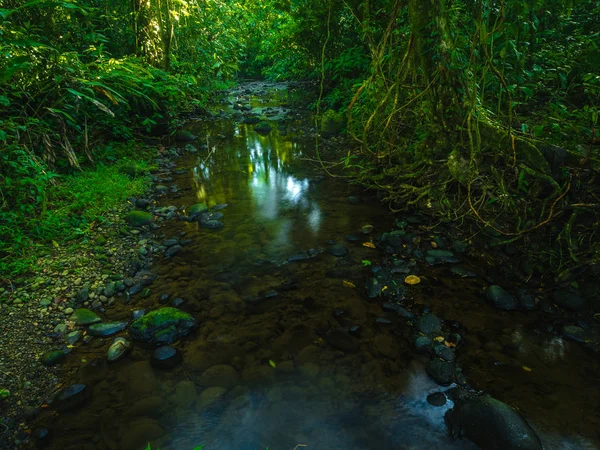 Cours Eau Forêt Tropicale Costa Rica — Photo