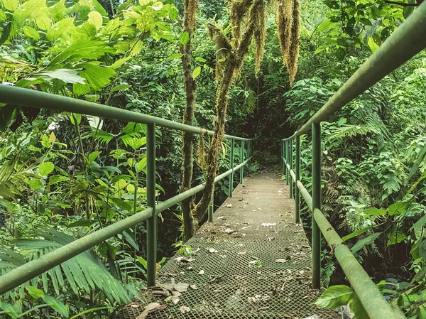 Puente Hierro Bosque Tropical — Foto de Stock