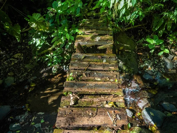Gefahr Kaputte Plankenbrücke Tropenwald — Stockfoto