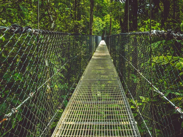 Onun Korku Ormanlarında Bir Asma Köprü Üzerinde Yüz Stok Fotoğraf