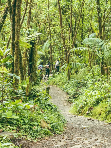 Walkers on muddy path in the tropical jungle