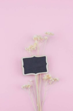 Küçük yazı tahtası süslemeleri ile pastel pembe bir arka plan üzerinde beyaz Kuru çiçekler