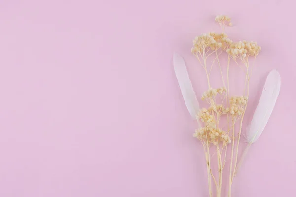 Beyaz çiçekler kopya alanı ile pastel pembe arka plan üzerinde beyaz tüy ile kurutulmuş