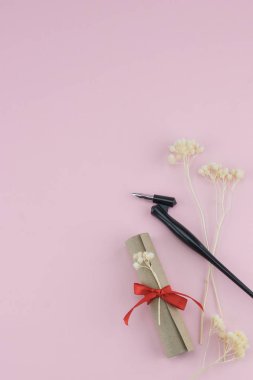 Kaydırma ve eğik kalem kopya alanı ile pastel pembe arka plan üzerinde beyaz Kuru çiçekler ile süsleyin 