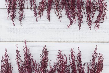 Menekşe beyaz tahta arka plan kopya alanı ile çiçek kurutulmuş