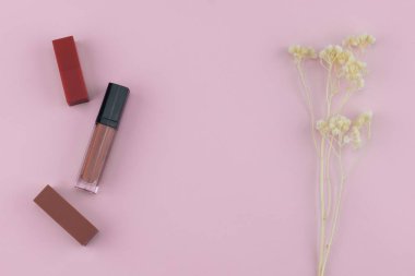 Ruj ve dudak parlatıcısı kopya alanı ile pastel pembe arka plan üzerinde beyaz Kuru çiçekler ile süsleyin