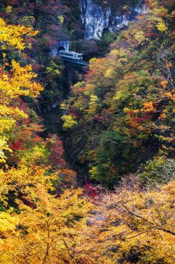 Tren ve Narugo Gorge, sumtimes yamaca renkli akçaağaç