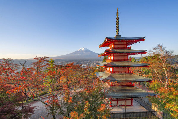 Fuji Mountain and Red Chureito Pagoda with Red Sakura Trees in A